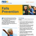 Falls Prevention Awareness Day