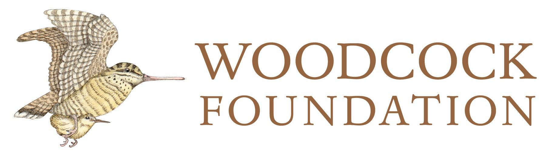 Woodcock Foundation